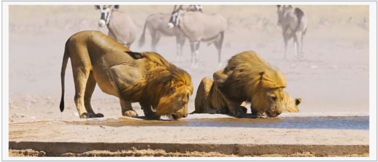 Séjour en Namibie